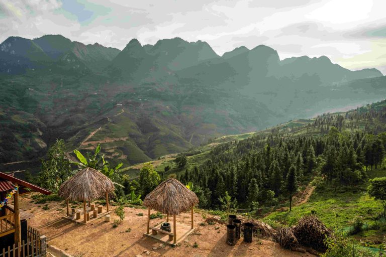 Papua Movement integrating food security infrastructure and regional stability