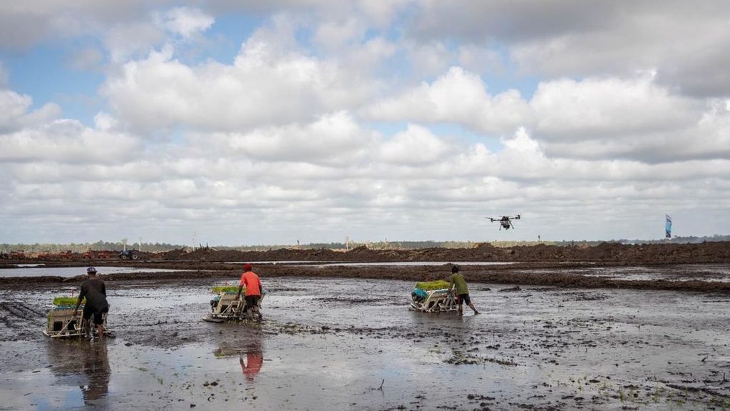 Farmers operating rice transplanting machines in a flooded field as a drone flies overhead