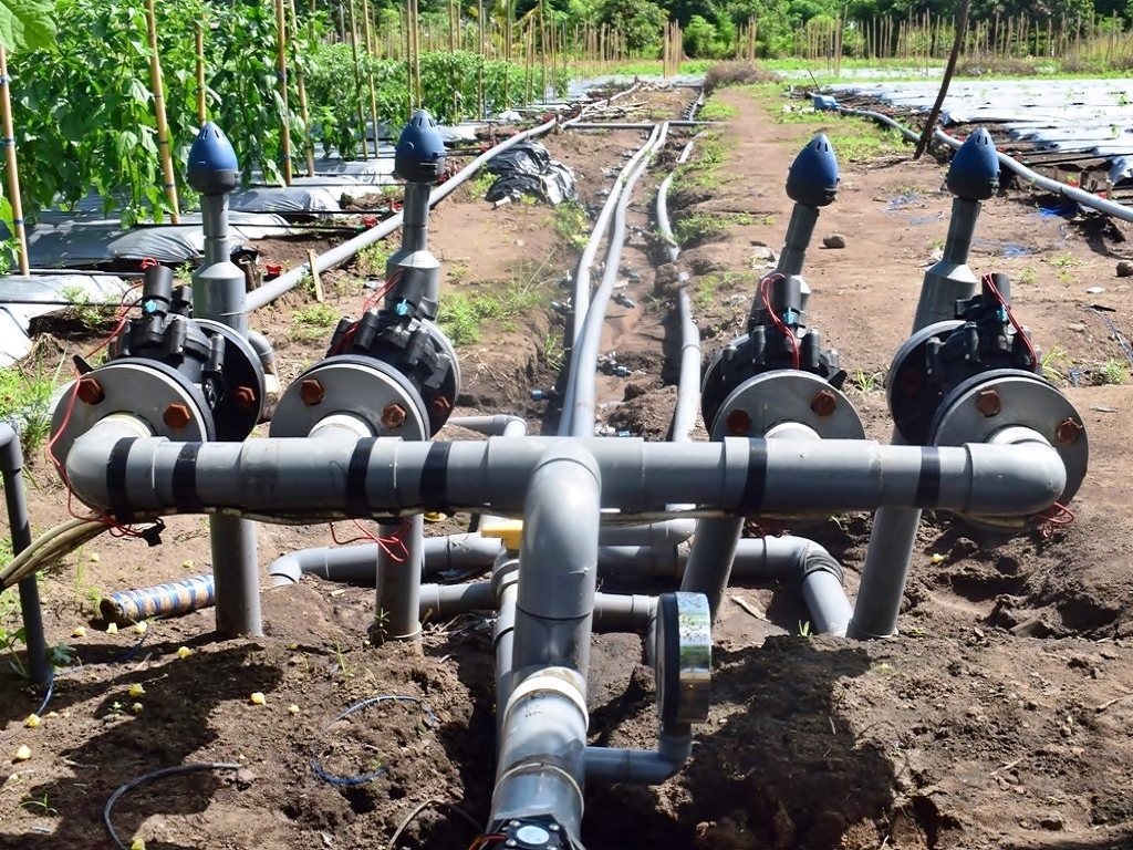 Irrigation pipes and valves running between rows of crops on a farm