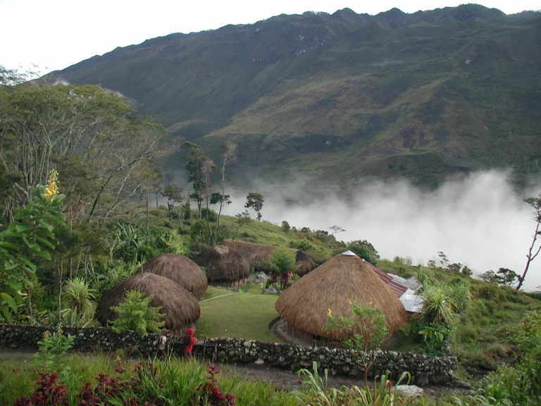 Traditional honai huts on a misty highland hillside.