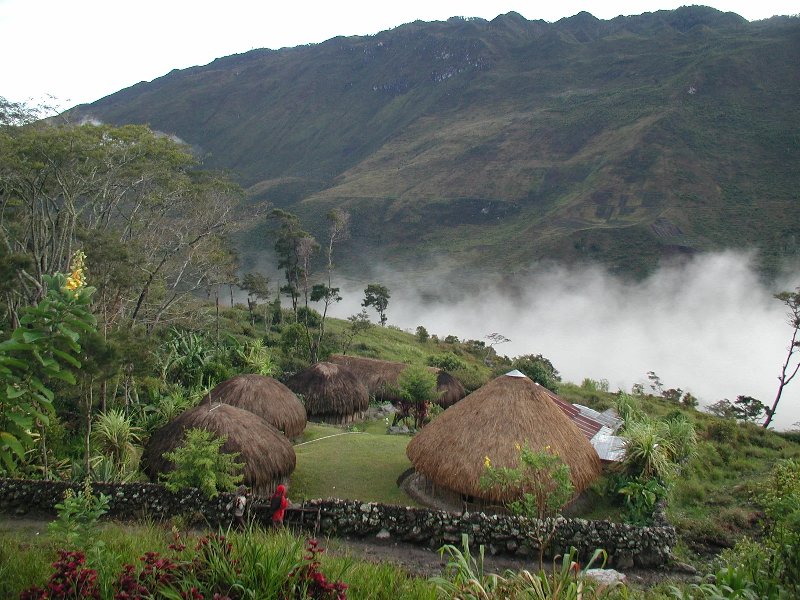 Traditional honai huts on a misty highland hillside.