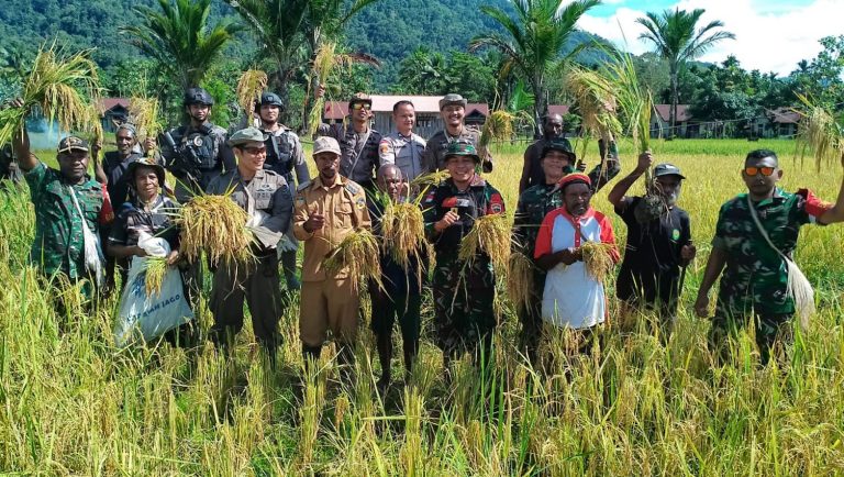 State presence delivering redistributive public services and infrastructure in Papua