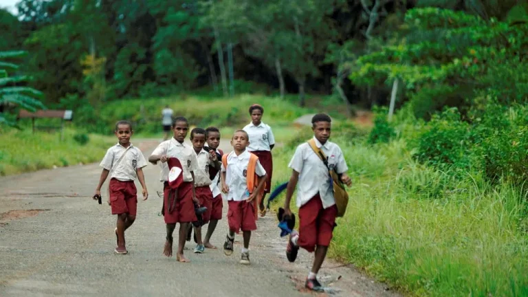 Improving access to healthcare and nutritious food for children in Papua