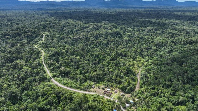 Aerial view of a dirt road winding through dense forest past a small settlement
