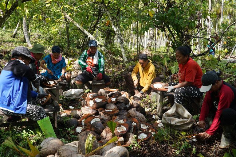 Farmers sorting harvested produce in a forest garden.