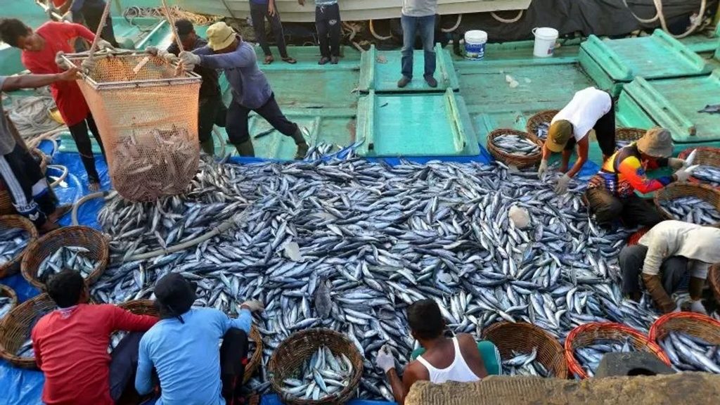 Fishermen sorting a large catch of fish on a boat deck.