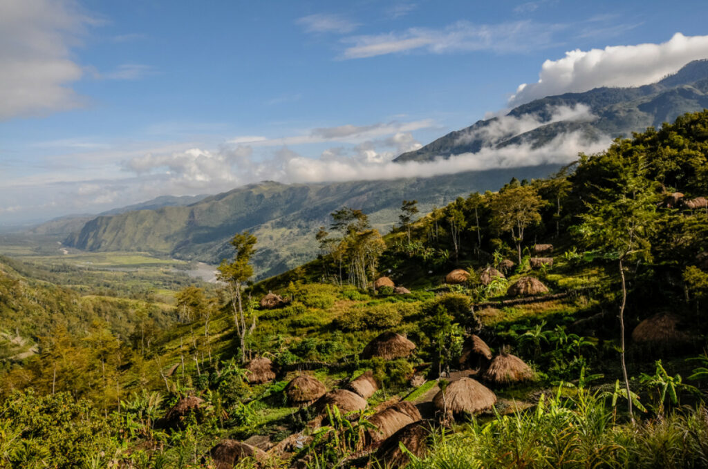 Highland valley with traditional huts below forested mountains.