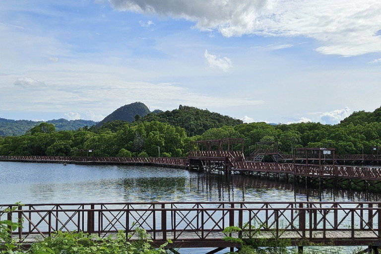 Wooden boardwalk along a mangrove-lined bay with forested hills.