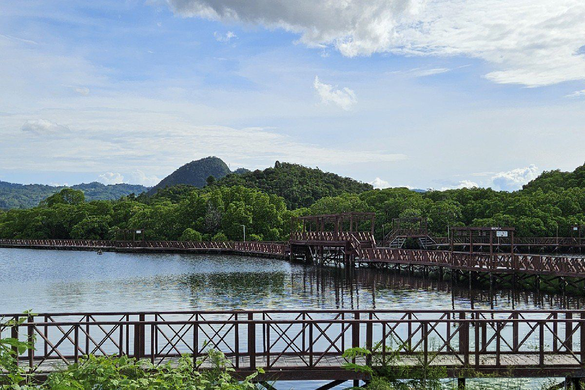Wooden boardwalk along a mangrove-lined bay with forested hills.