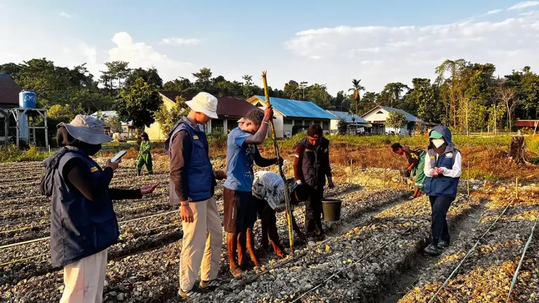Agricultural officers and farmers inspecting a planted field.