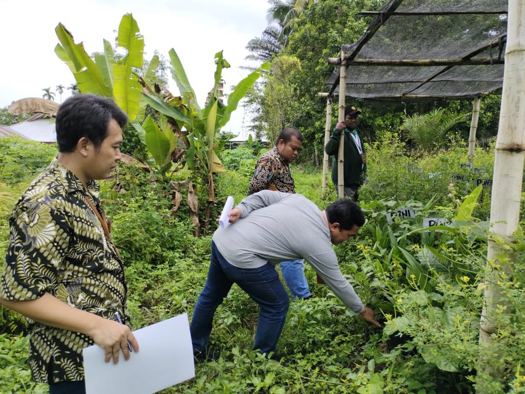 Officers inspecting crops in a village garden.