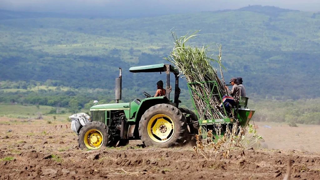 A tractor pulling a trailer loaded with sugarcane across a ploughed field