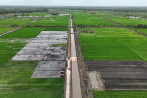 Aerial view of green rice fields divided by an irrigation canal, with tractors parked on the farm road