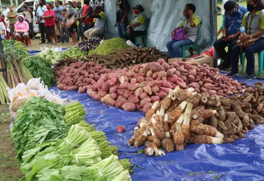 Vegetables, sweet potatoes and taro laid out on tarpaulins at a market.