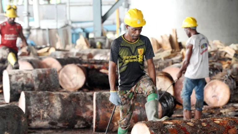 Workers in hard hats handling logs at a sawmill.