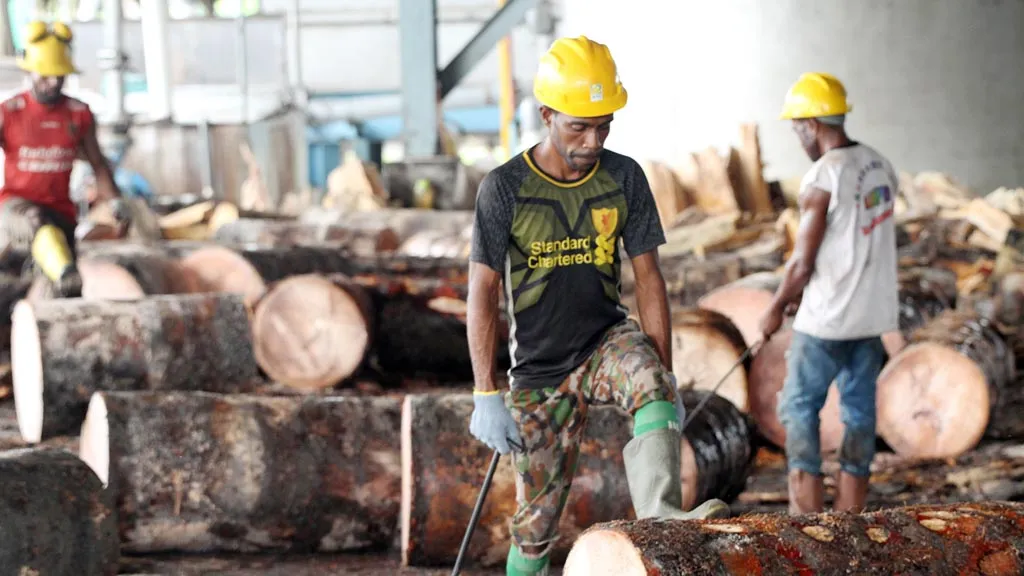 Workers in hard hats handling logs at a sawmill.