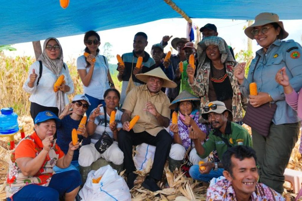 Farmers and officials holding up ears of harvested maize under a tarpaulin