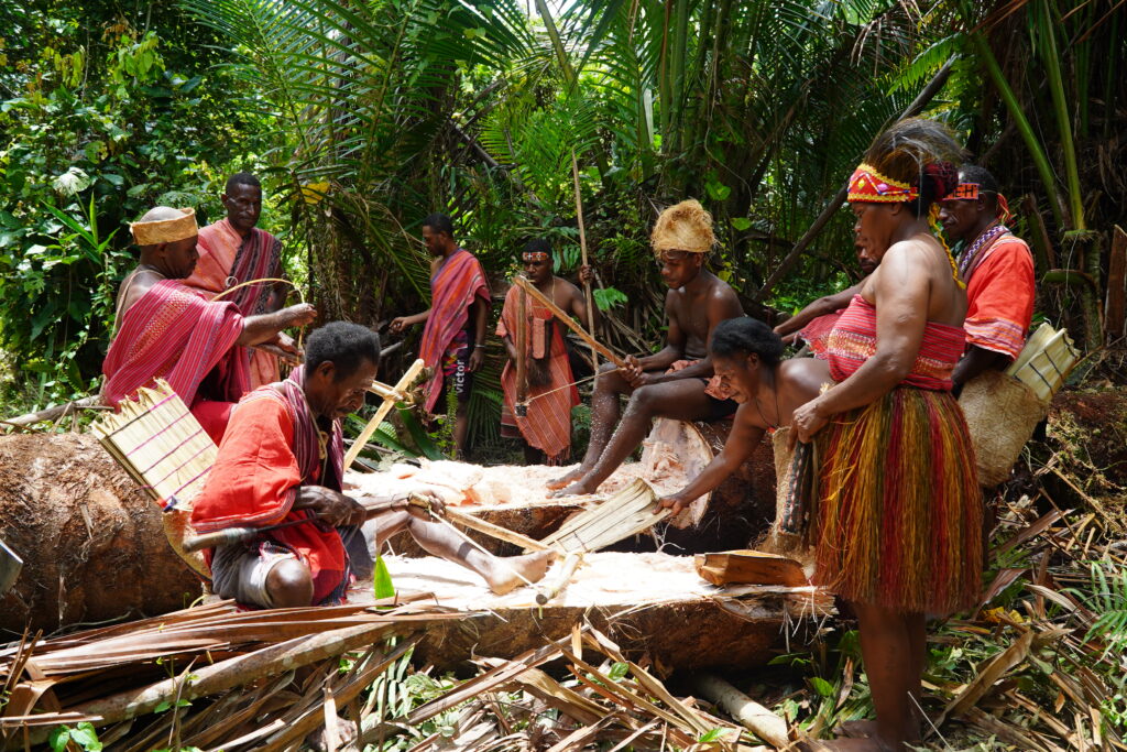People in traditional dress processing a felled sago palm in the forest