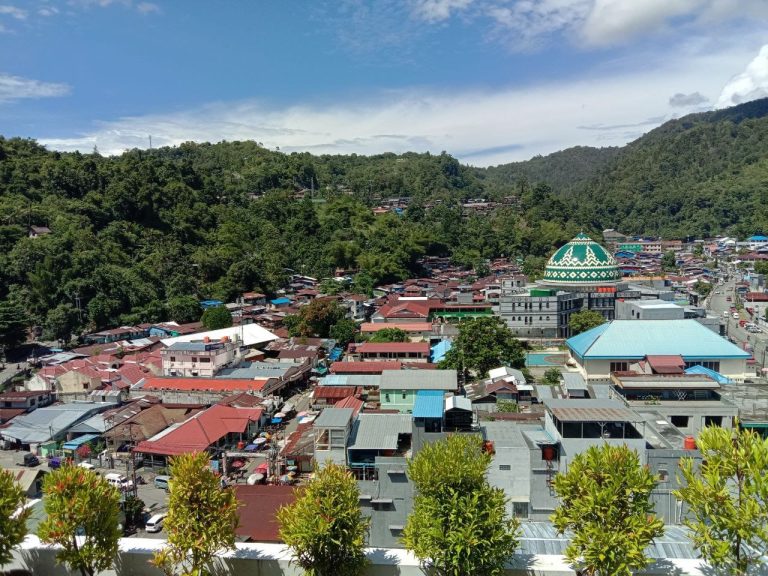 Aerial view of a Papuan town with houses and a mosque at the foot of forested hills.