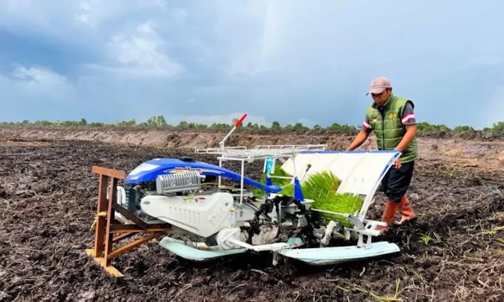 Farmer operating a rice transplanter in a muddy field.