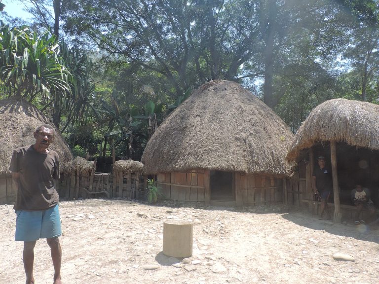 Traditional honai houses of the Dani people near Wamena, home to some of the people of West Papua