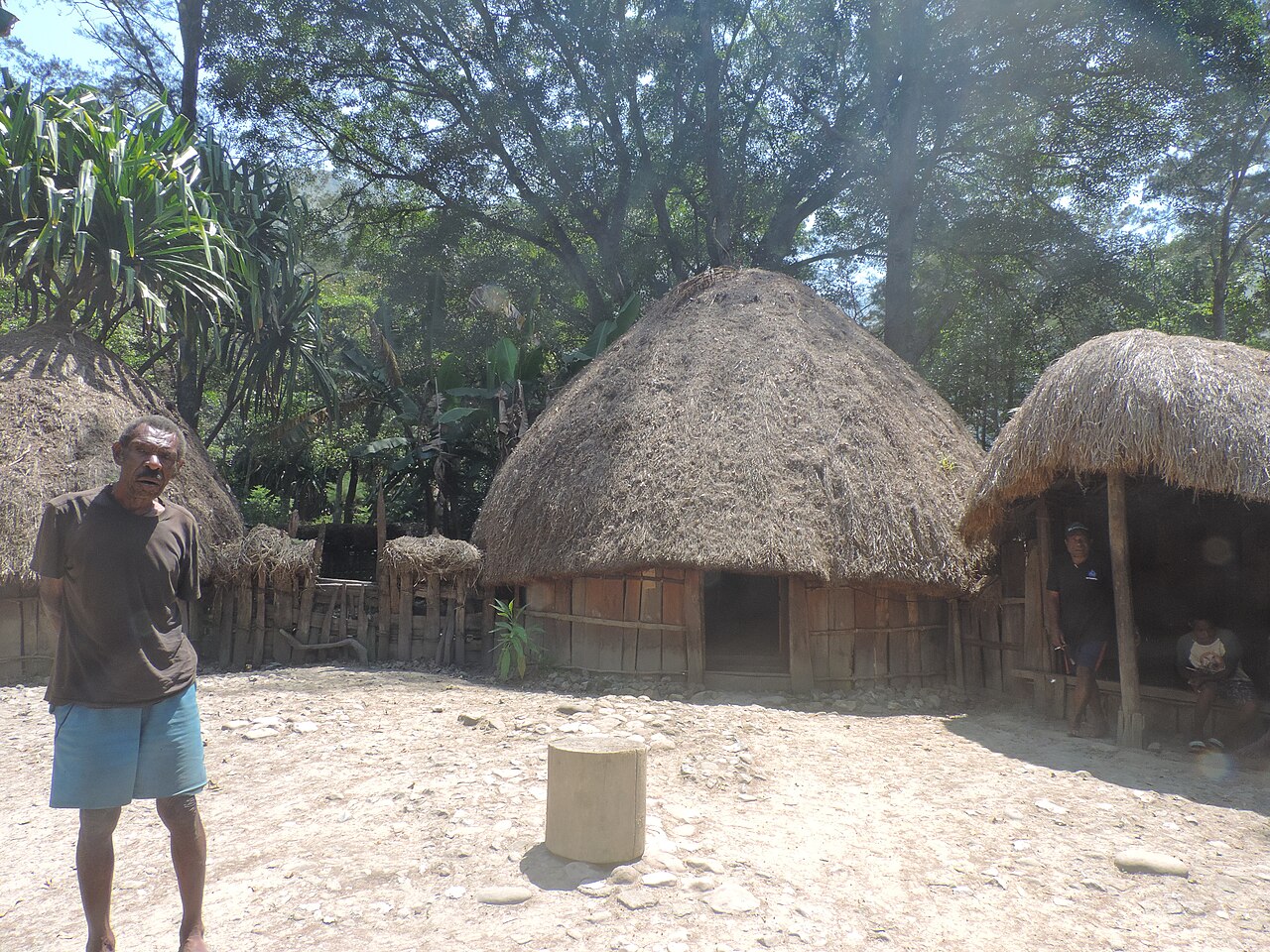 Traditional honai houses of the Dani people near Wamena, home to some of the people of West Papua