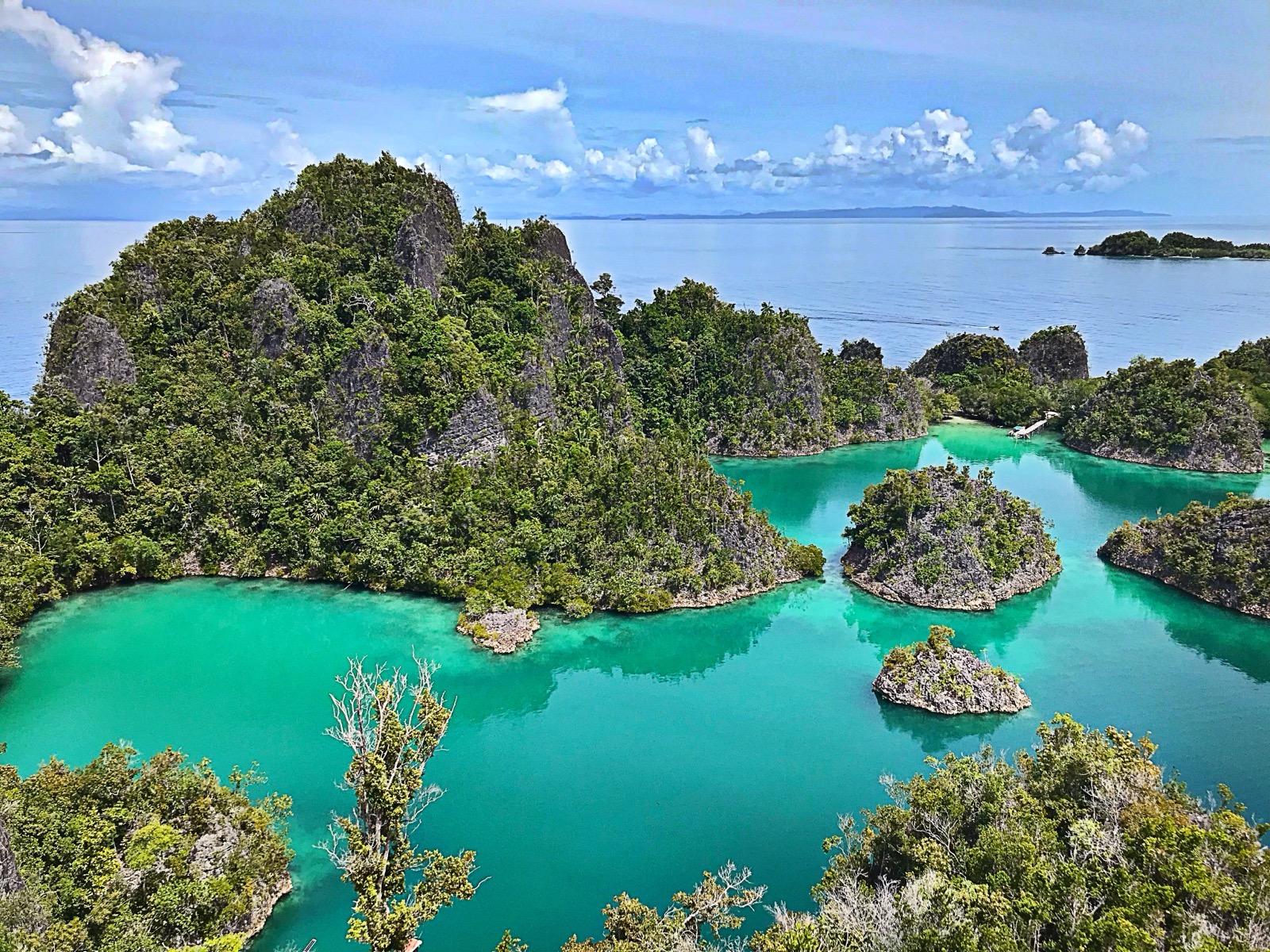 Green karst islands rising from turquoise water at Piaynemo in Raja Ampat, Southwest Papua